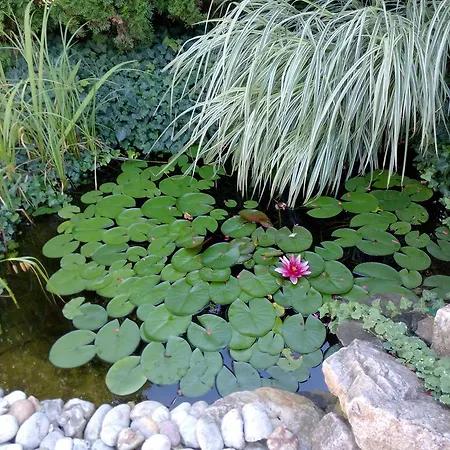 Hébergement de vacances Iso *