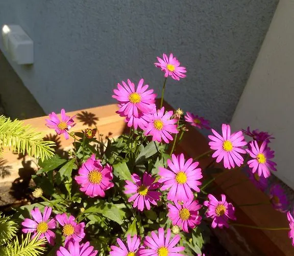 Iso Hébergement de vacances Siófok