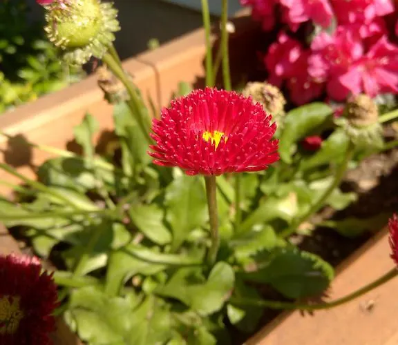 Iso Hébergement de vacances