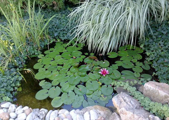 Hébergement de vacances Iso *