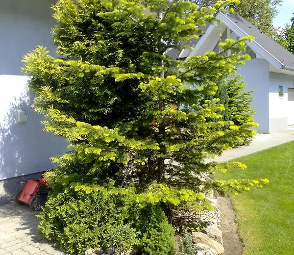 Hébergement de vacances Iso